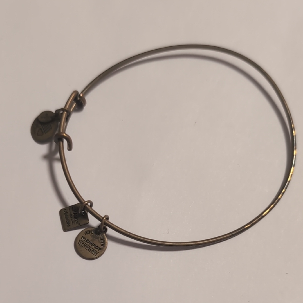 Alex and Ani Gold Expandable Charm Bracelet Made With 🩵 Charm‎ Healing Bracelet